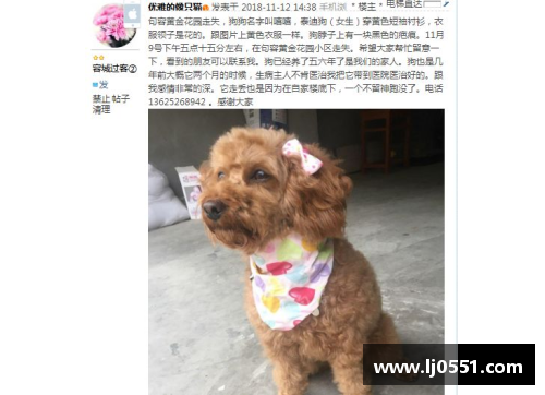 AG真人国际球员水狗：探索其职业生涯的高光与挑战