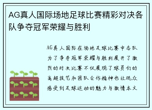 AG真人国际场地足球比赛精彩对决各队争夺冠军荣耀与胜利